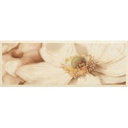 Gạch ốp tường Trường Thịnh CREAM MARFIL 26103TA02/C